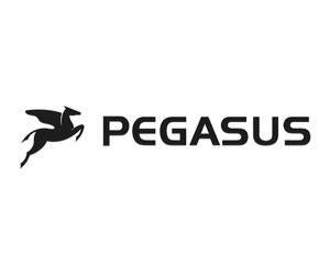 Pegasus